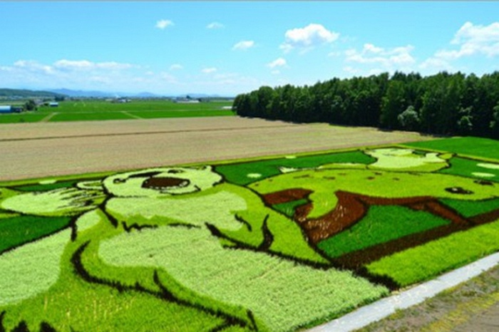 旭川彩繪稻田.jpg