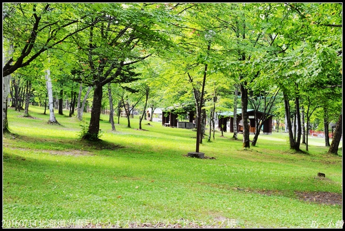 20160714北海道当麻町とうまスポーツランドキャンプ場076.jpg