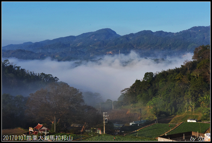 20170101苗栗大湖馬拉邦山026.jpg