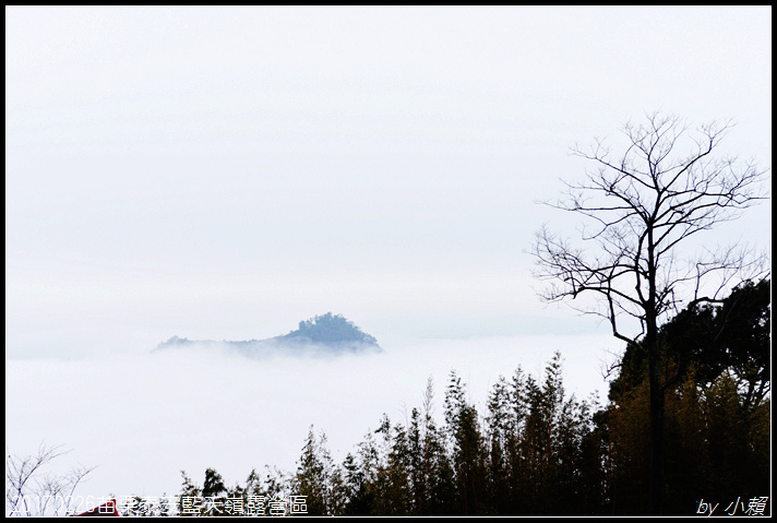 20170226苗栗泰安藍天嶺露營區087.jpg