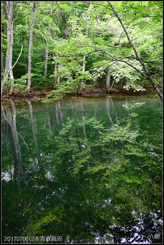 20170706日本青森蔦七沼017.jpg