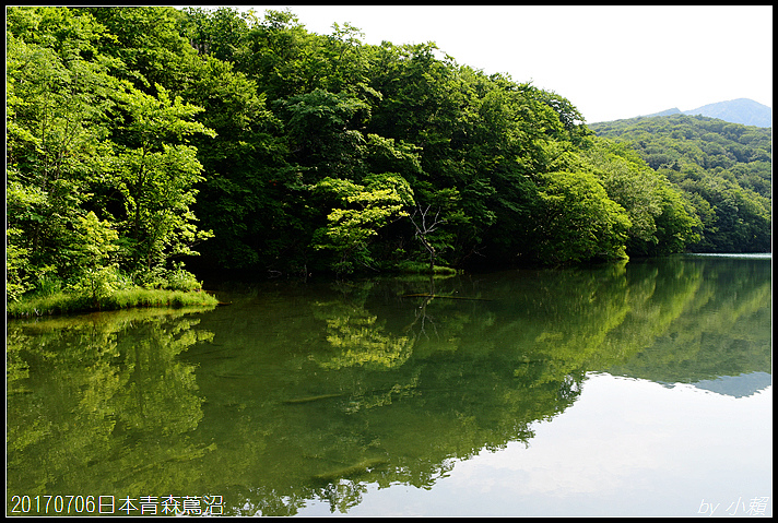 20170706日本青森蔦七沼046.jpg