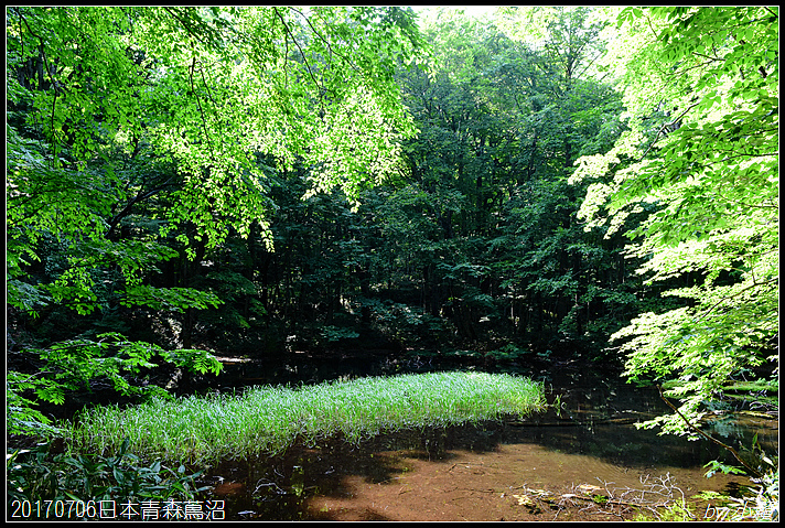 20170706日本青森蔦七沼063.jpg