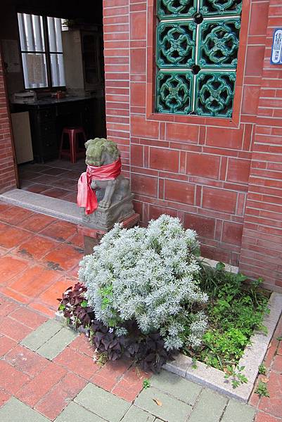 IMG_2679 IMG_2679