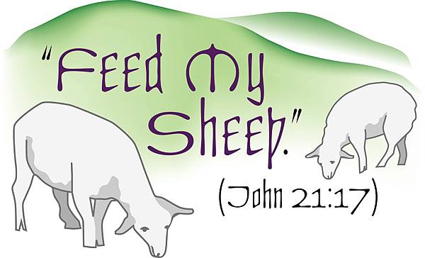 feed-my-sheep