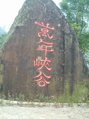 草嶺 草嶺