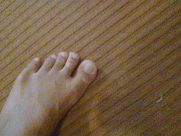 Pat's0093.jpg Pat's0093.jpg