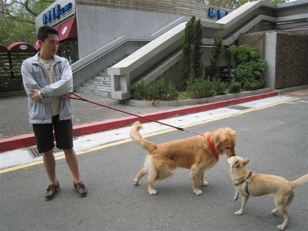 我們逛逛高雄的文化中心