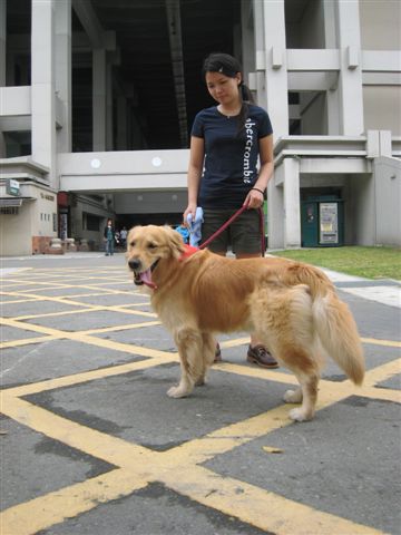 其實是我想找洗手間