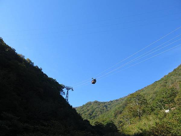 IMG_0987 (複製).JPG