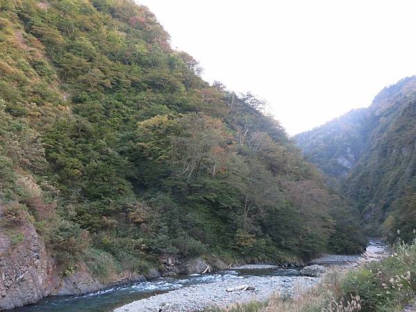 IMG_1329 (複製).JPG