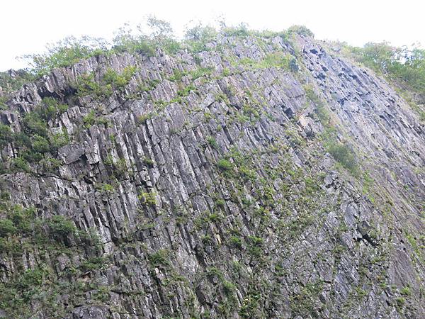 IMG_1355 (複製).JPG