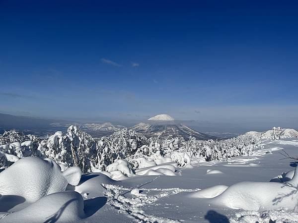 20231222~1231 朝里川/札幌國際/留壽都滑雪及支