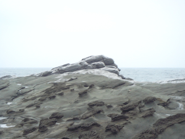DSC07584.JPG