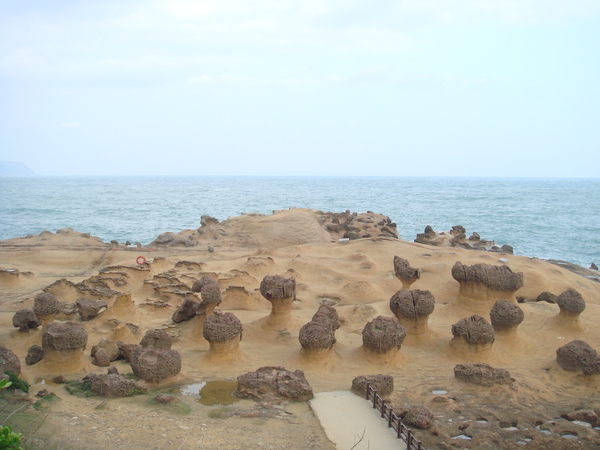 DSC07736.JPG