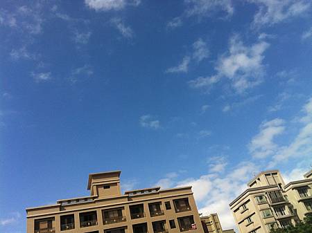 IMG_7381 IMG_7381
