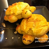 IMG_7620 IMG_7620