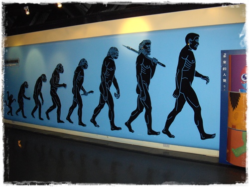 这层楼展出的是「生命的起源」,这是人类从猴子到人的进化过程.