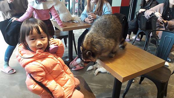 韓國首爾6天5夜逛不完買不完之親子微旅行(2017.02 韓國首爾6天5夜逛不完買不完之親子微旅行(2017.02