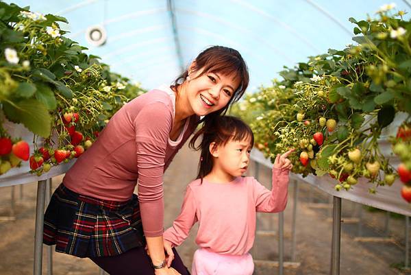 韓國首爾6天5夜逛不完買不完之親子微旅行(2017.02