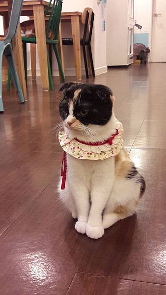 韓國首爾6天5夜逛不完買不完之親子微旅行(2017.02