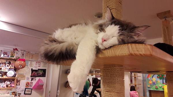 韓國首爾6天5夜逛不完買不完之親子微旅行(2017.02