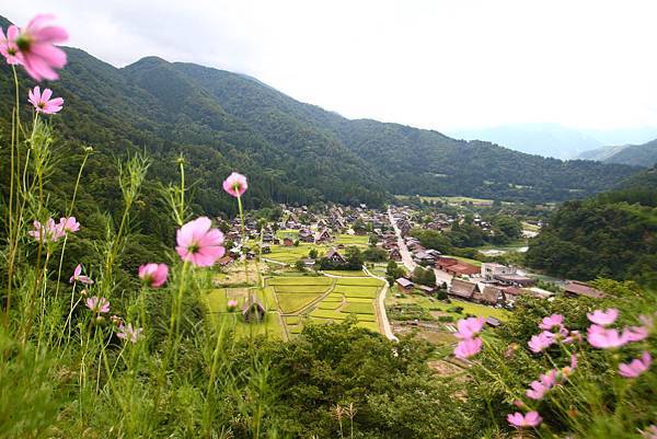 IMG_6751.JPG IMG_6751.JPG