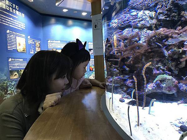 IMG_0978.JPG IMG_0978.JPG