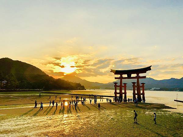 IMG_1838.jpeg IMG_1838.jpeg