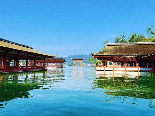 IMG_2140-1.jpg IMG_2140-1.jpg