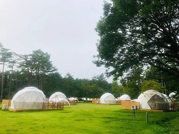 IMG_9603.JPG IMG_9603.JPG