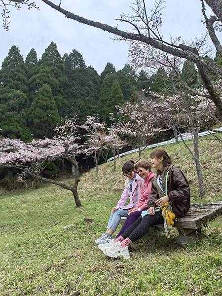 日本九州~熊本/阿蘇/黑川溫泉/福岡~6天5夜~一起去追櫻!