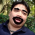 KThEUt2wF9ts5DL7sJSupg.jpg