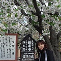 mX8ZXPqxCj73BxT3JOgK6A.jpg