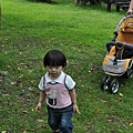 050.JPG