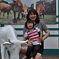144.JPG