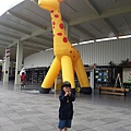 20140604_094335.jpg