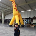 20140604_094340.jpg