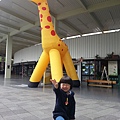 20140604_094348.jpg