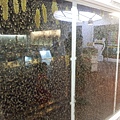 20130826蜜蜂故事館3.jpg