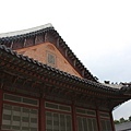 수박 204.jpg