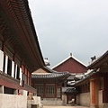 수박 205.jpg