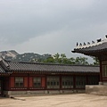 수박 219.jpg