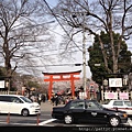 花見@平野神社