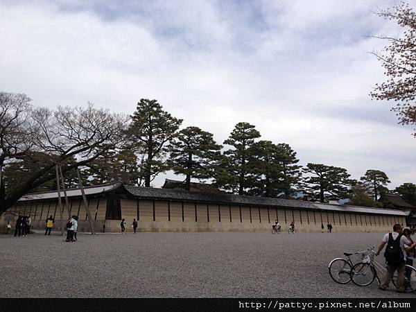 京都御所好大