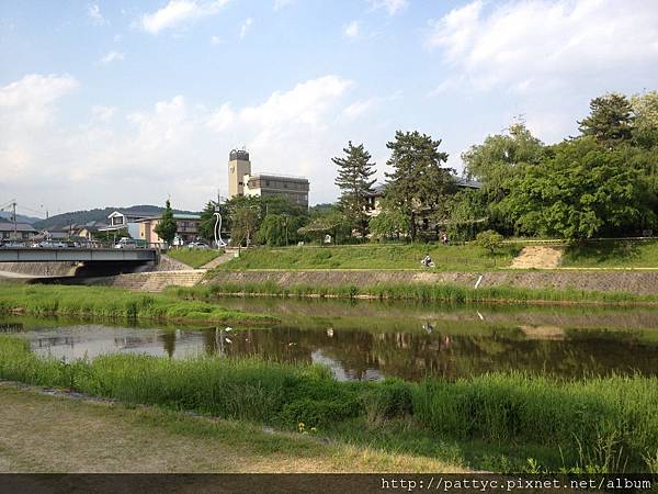 賀茂川