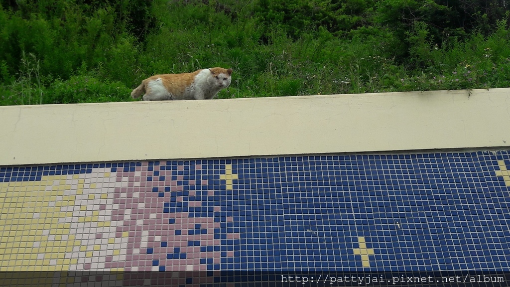 20170420_150309.jpg 20170420_150309.jpg