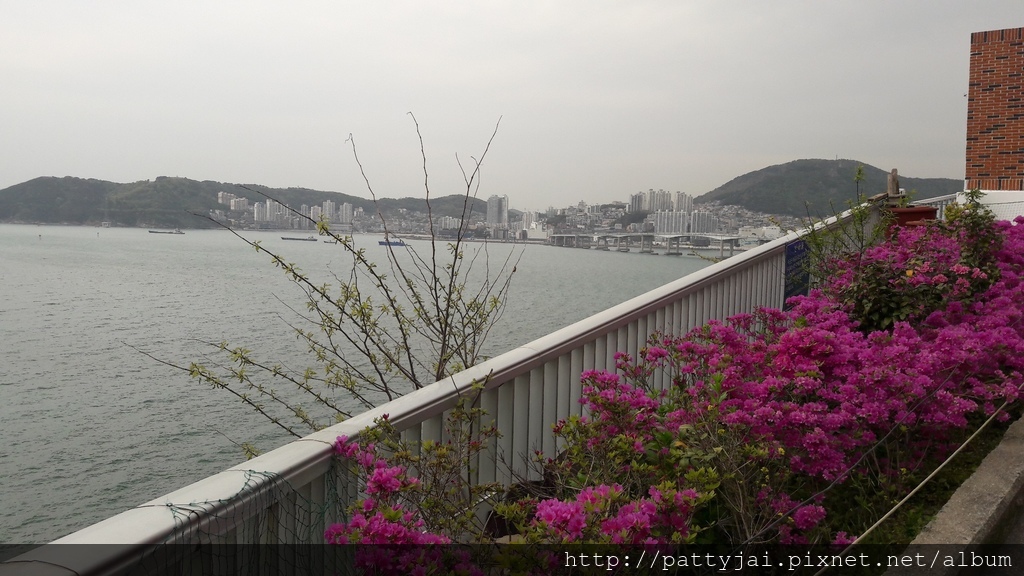 20170420_154059.jpg 20170420_154059.jpg