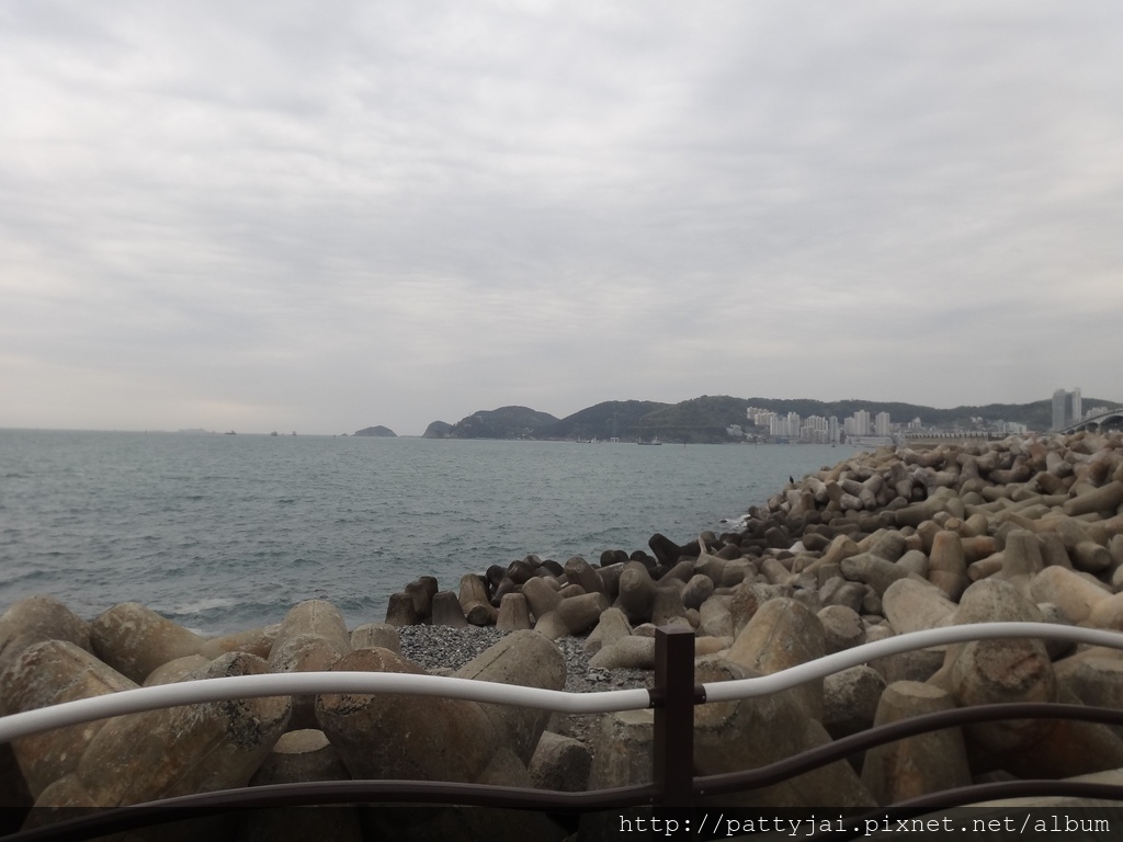 DSC05134.JPG DSC05134.JPG