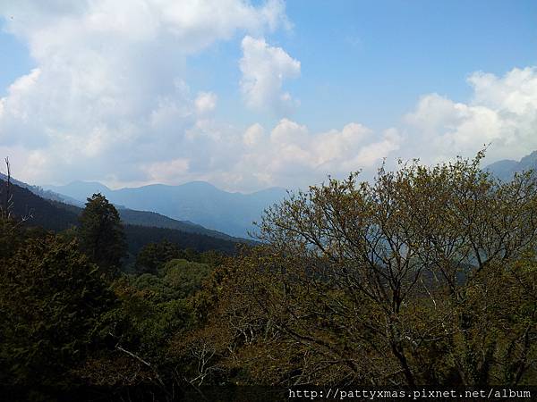 阿里山